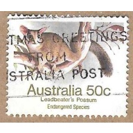 Leadbeater's Possum