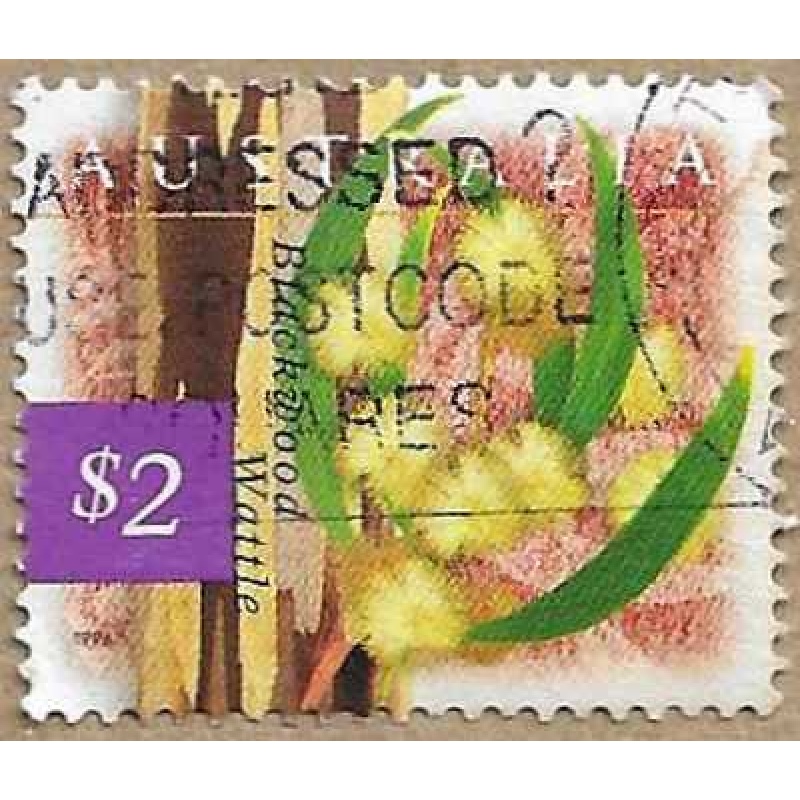 Blackwood Wattle