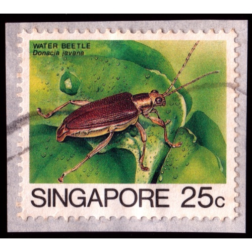 SINGAPORE 1985 Insects 25c Water Beetle Sc#457 on paper USED @BM226