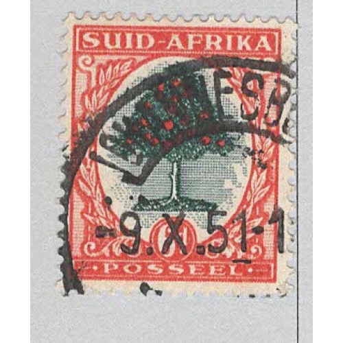 South Africa 61b Orange Tree Used 2  (BP94842)