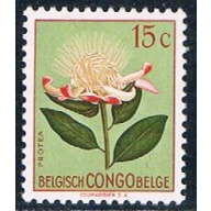 Belgian Congo 264 Unused Flower Prolea 1952 (B0399)