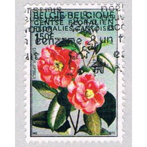 Belgium 734 Used Camelilia 1970 (BP37021)