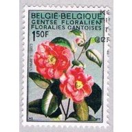 Belgium 734 Used Camellia (BP1653)