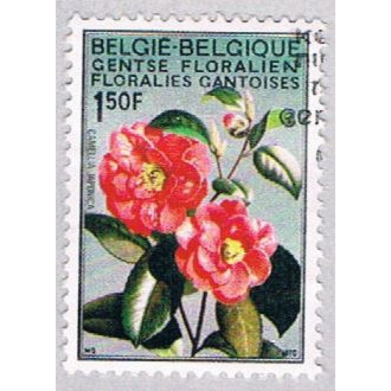 Belgium 734 Used Camellia (BP1653)