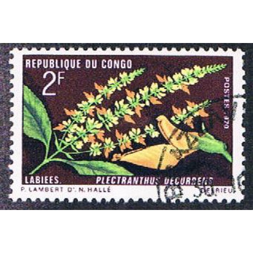 Congo PR 223 Used Flower (BP445)