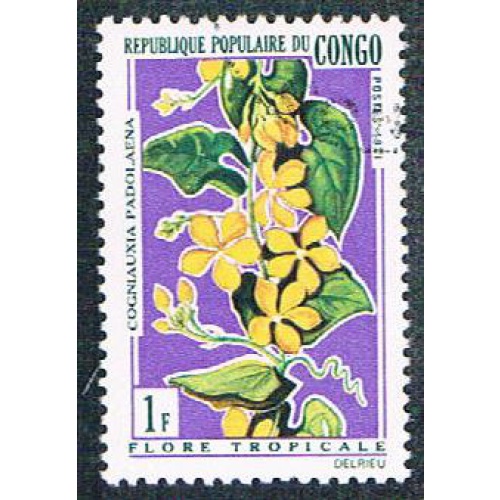 Congo PR 237 Used Flowers (BP3820)