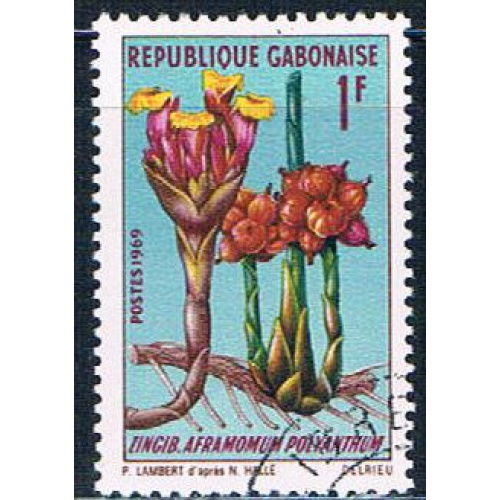 Gabon 244 Used African plant lr 1969 (G0314)+