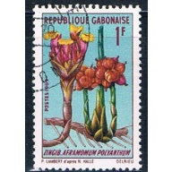 Gabon 244 Used African plant ul 1969 (G0311)+