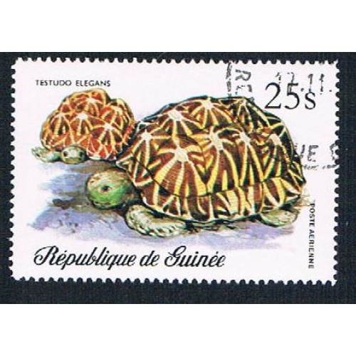 Guinea C136 Used Sea Turtle 1977 CV 1.60 (BP36614)
