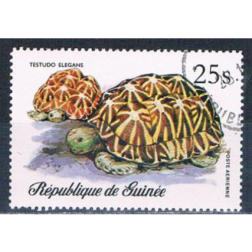 Guinea C136 Used Turtles 1977 CV 1.60 (MV0302)