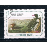 Haiti Used Birds American Merganser (H0019)+