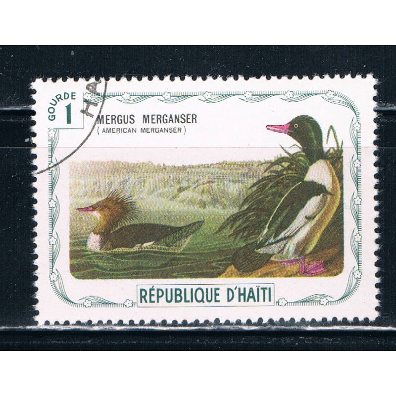 Haiti Used Birds American Merganser (H0019)+