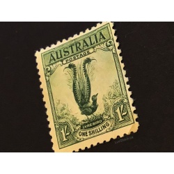 Australian 1932 Lyrebird Stamp 1/ | Pre-Decimal |  Large Format | MH