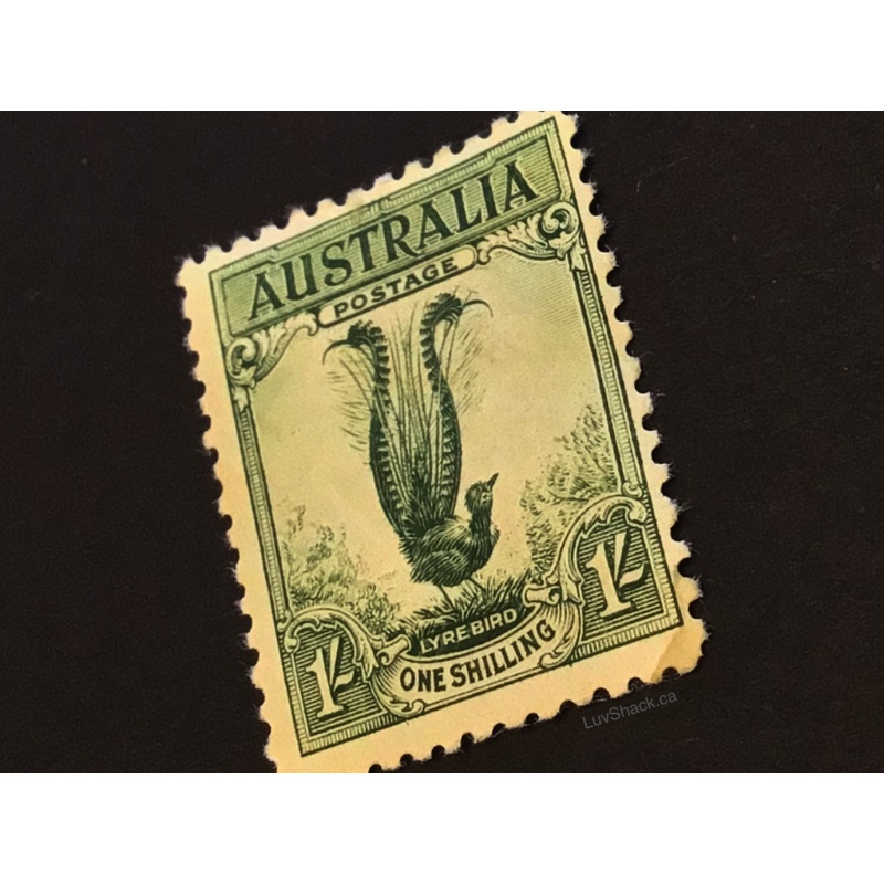 Australian 1932 Lyrebird Stamp 1/ | Pre-Decimal |  Large Format | MH