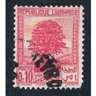 Lebanon 137 Used Cedar of Lebanon (BP241)
