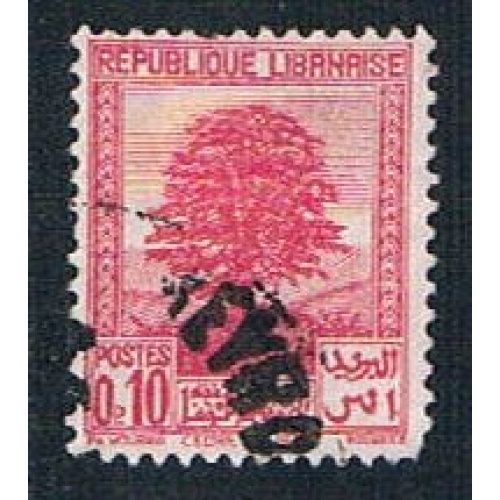 Lebanon 137 Used Cedar of Lebanon (BP241)