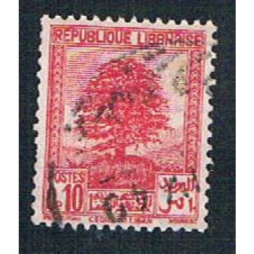 Lebanon 137 Used Cedar of Lebanon (BP242)