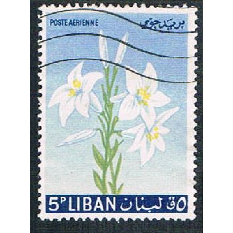 Lebanon C391 Used Lily (BP272)