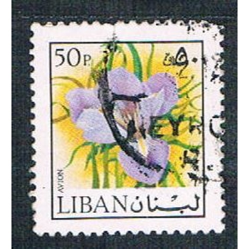 Lebanon C663 Used Iris (BP1922)