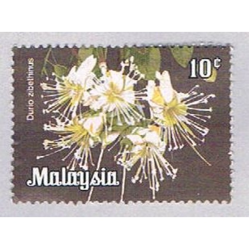 Malaysia 194 Used Durio zibethinus (BP24315)