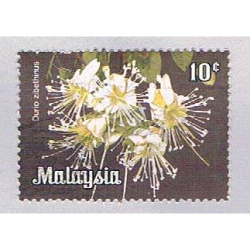 Malaysia 194 Used Durio zibethinus (BP24316)