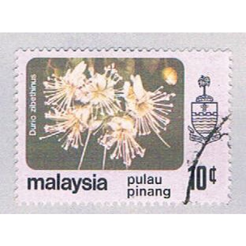 Malaysia Penang 84 Used Durio zibethinus (BP24516)