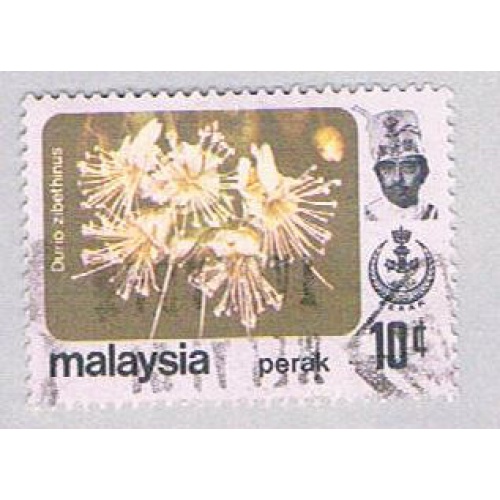 Malaysia Perak 156 Used Durio zibethinus (BP24527)