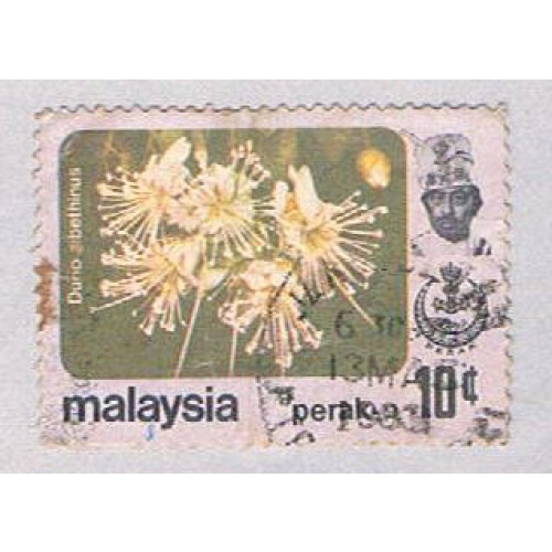 Malaysia Perak 156 Used Durio zibethinus (BP2461)