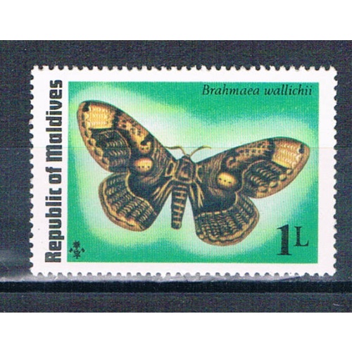 Maldives 584 Unused Butterfly 1975 (M0359)+