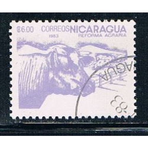 Nicaragua 1229 Used Cattle (N0272)+