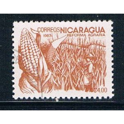 Nicaragua 1300 Used Corn (N0275)+