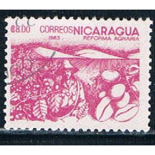 Nicaragua 1304 Used Coffee Beans (N0277)+