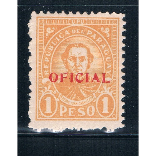 Paraguay O96 Unused Pedro Caballero (GI0192)+
