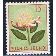 Ruanda Urundi 115 Unused Flower Protea 1953 (R0239)+