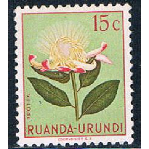Ruanda Urundi 115 Unused Flower Protea 1953 (R0239)+