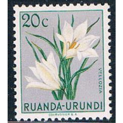 Ruanda Urundi 116 Unused Flower Vellozia 1953 (R0240)+