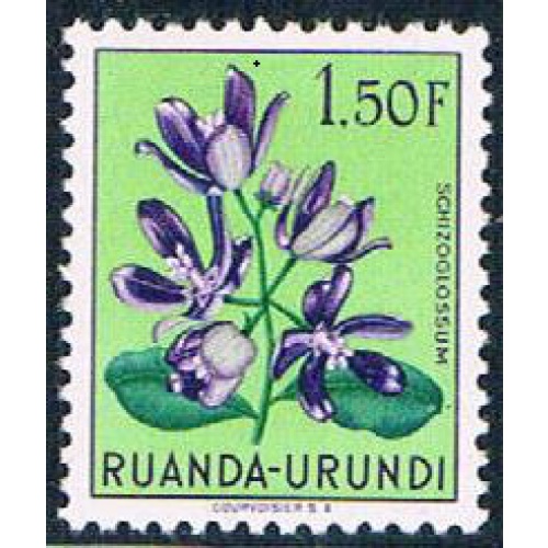 Ruanda Urundi 124 Unused Flower Schizoglossum 1953 (R0242)+