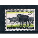 Ruanda Urundi 138 Unused Cape Buffaloes 1959 (R0261)+