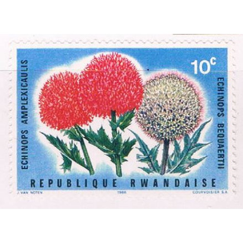 Rwanda 151 Unused Globe Thistle 1966 (R0535)
