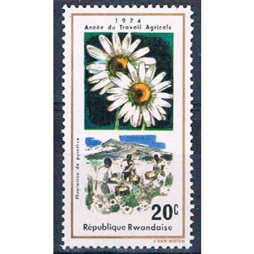 Rwanda 632 Unused Flower Pyrethrum (R0386)+