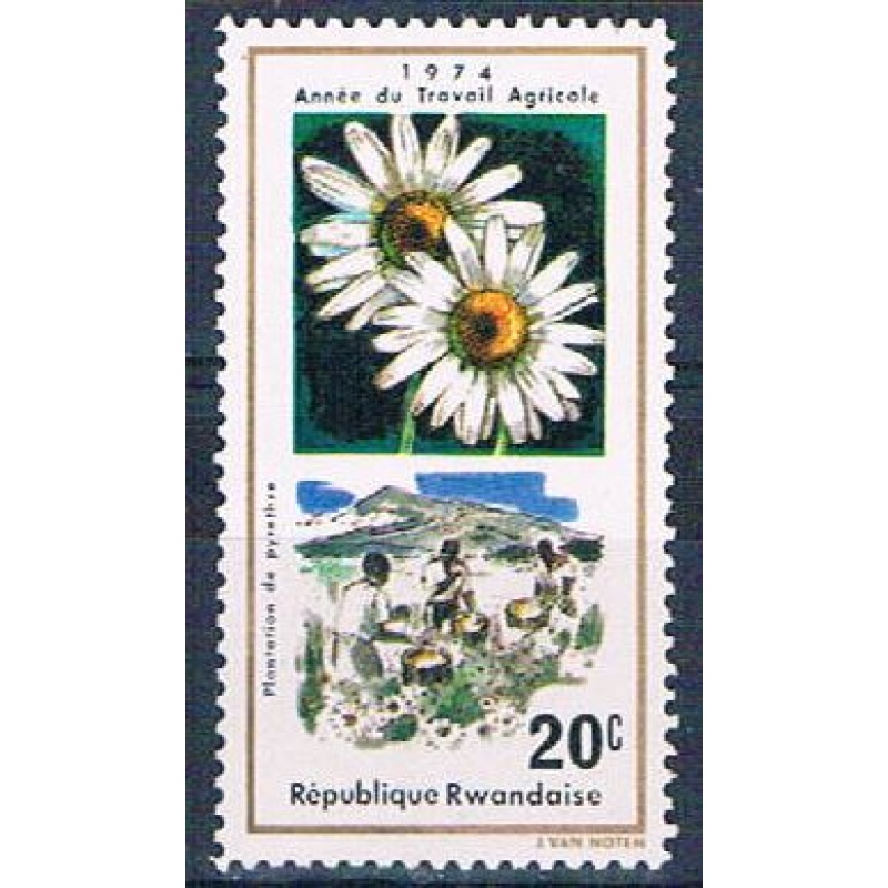 Rwanda 632 Unused Flower Pyrethrum (R0386)+
