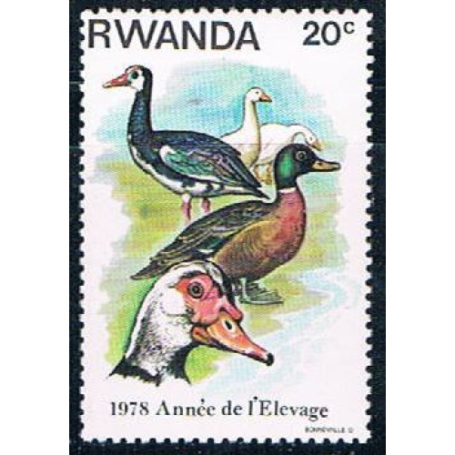 Rwanda 897 Unused Ducks (R0371)+