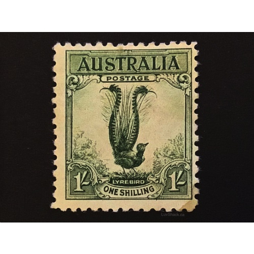 Australian 1932 Lyrebird Stamp 1/ | Pre-Decimal |  Large Format | MH