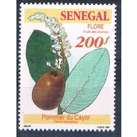 Senegal 1034 Unused Fruit Plant 1992 CV 1.60 (S0803)+