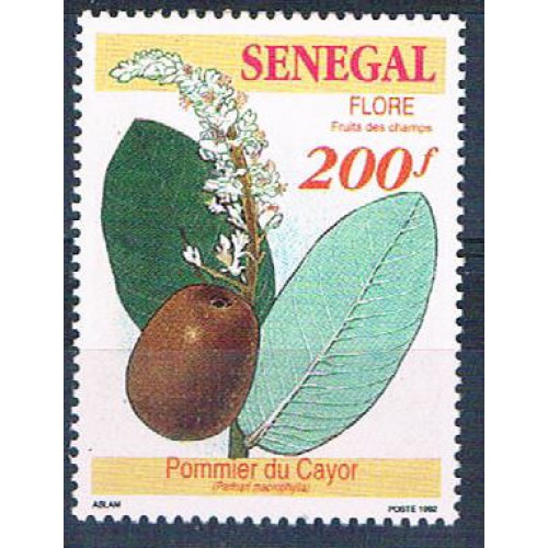 Senegal 1034 Unused Fruit Plant 1992 CV 1.60 (S0803)+