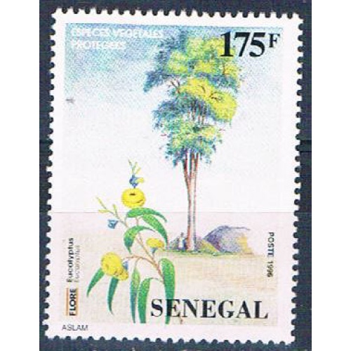 Senegal 1233 Unused Eucalyptus Plant 1997 (S0805)+