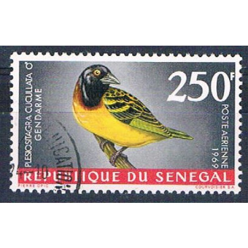 Senegal C55 Used Bird Village Weaver ll 1969 CV 1.75 (S0820)+