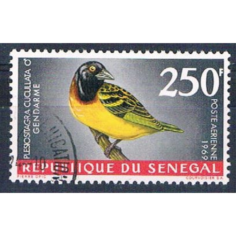 Senegal C55 Used Bird Village Weaver ll 1969 CV 1.75 (S0820)+