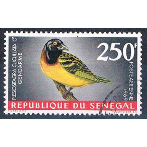 Senegal C55 Used Bird Village Weaver lr 1969 CV 1.75 (S0822)+