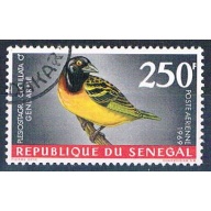 Senegal C55 Used Bird Village Weaver ul 1969 CV 1.75 (S0819)+